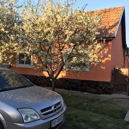 Sadyba U Mykhaila Koson Exteriör bild