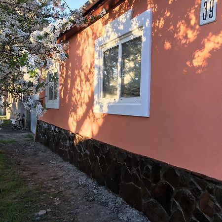 Sadyba U Mykhaila Koson Exteriör bild