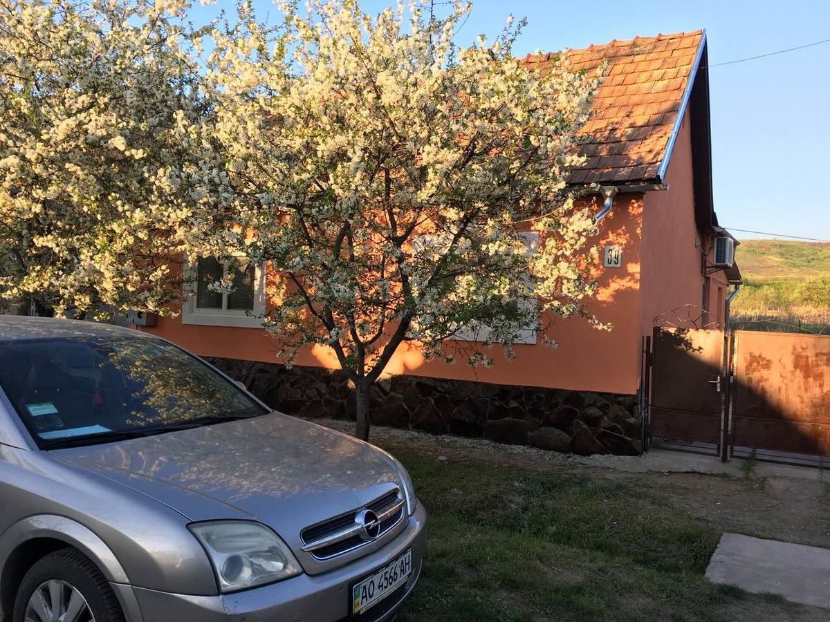 Sadyba U Mykhaila Koson Exteriör bild