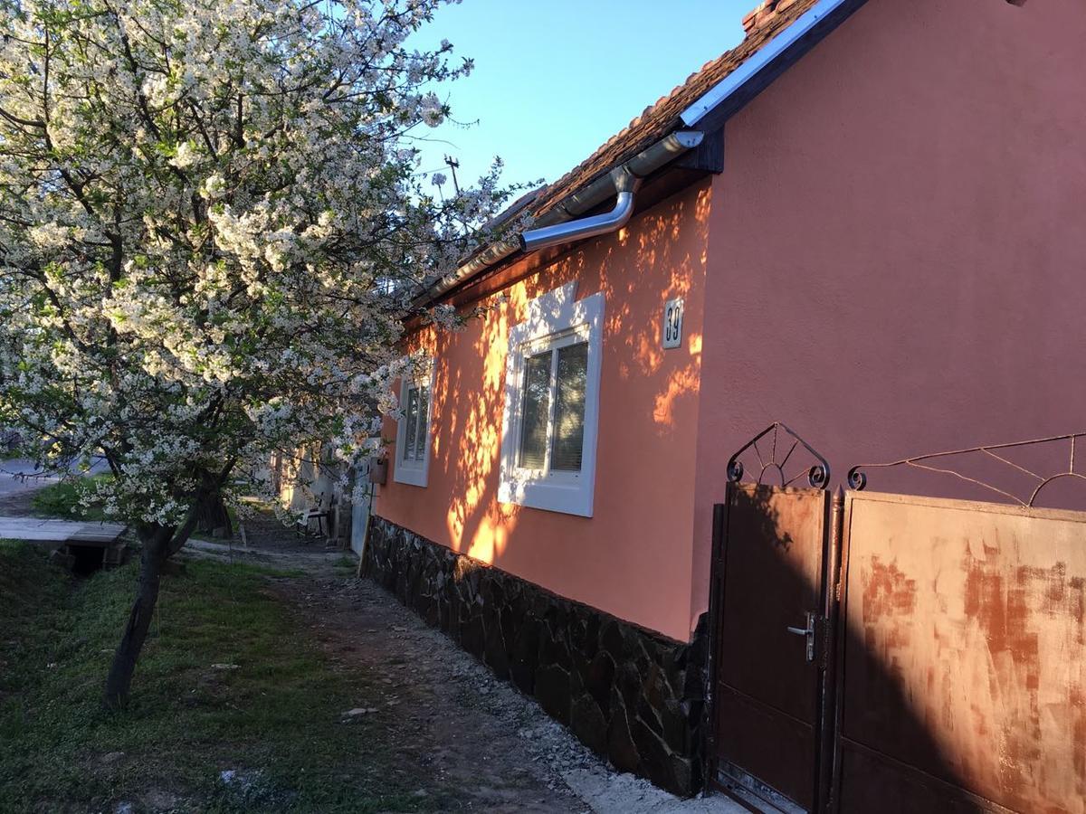 Sadyba U Mykhaila Koson Exteriör bild